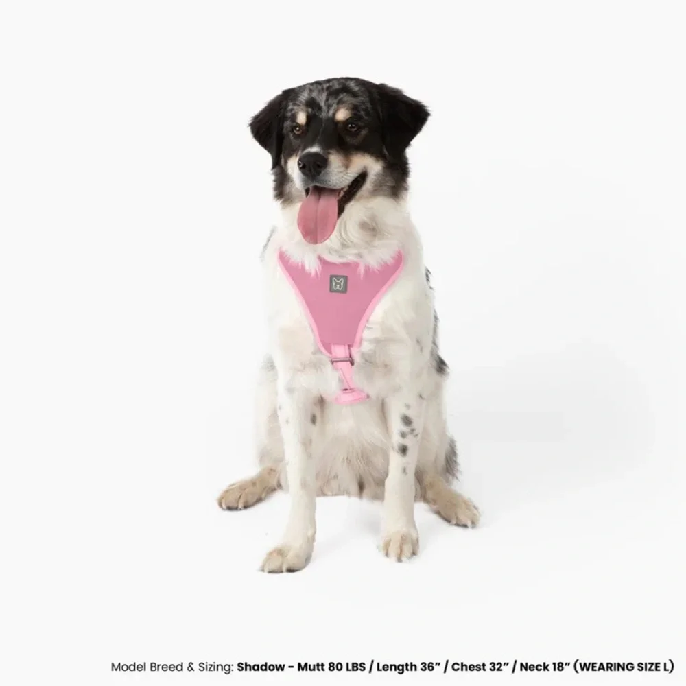 Nandog Pet Gear Neoprene Sport Dog Harness - Pink Size : M - Picture 2 of 6